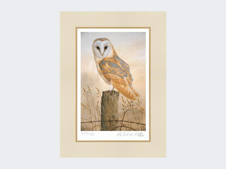 Barn-Owl-on-Fence-Post-Print-Mounted-Print-Only