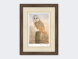 Barn-Owl-on-Fence-Post-Print-Small-Dark-Grey-Burr