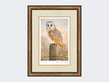 Barn-Owl-on-Fence-Post-Print-Small-Light-Burr