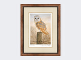 Barn-Owl-on-Fence-Post-Print-Small-Walnut-Burr