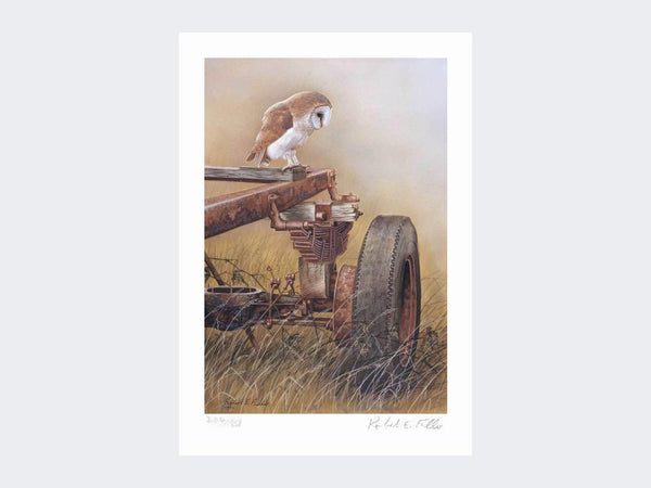 Barn Owl on Trailer | Limited Edition Art Print