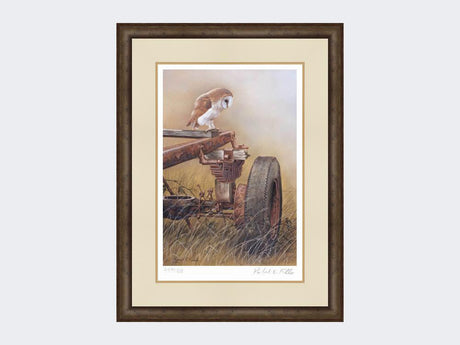 Barn-Owl-on-Trailer-Print-Small-Dark-Grey-Burr