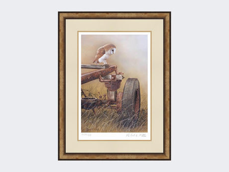 Barn-Owl-on-Trailer-Print-Small-Light-Burr