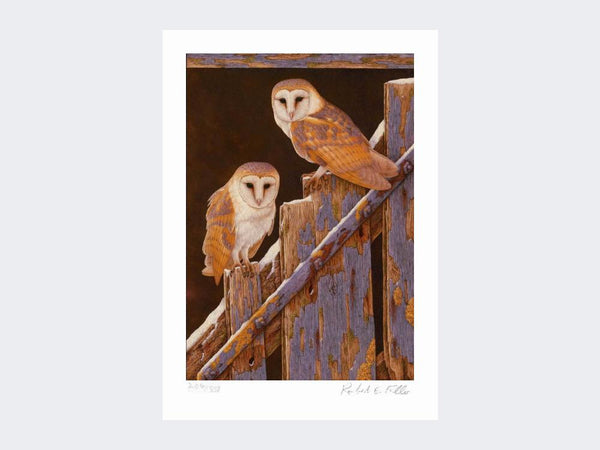 Barn Owls at Duggleby | Limited Edition Art Print