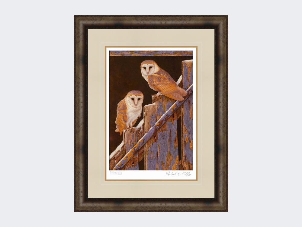 Barn-Owls-at-Duggleby-Print-Medium-Dark-Grey-Burr