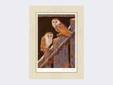 Barn-Owls-at-Duggleby-Print-Mounted-Print-Only