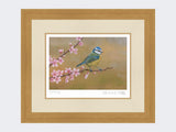 Blue-Tit-on-Cherry-Blossom-Print-Light-Oak