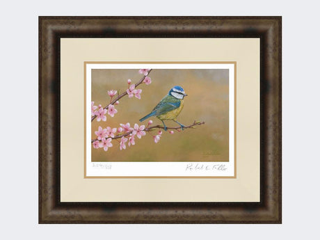 Blue-Tit-on-Cherry-Blossom-Print-Medium-Dark-Grey-Burr