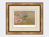 Blue-Tit-on-Cherry-Blossom-Print-Medium-Light-Burr