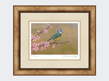 Blue-Tit-on-Cherry-Blossom-Print-Medium-Light-Burr