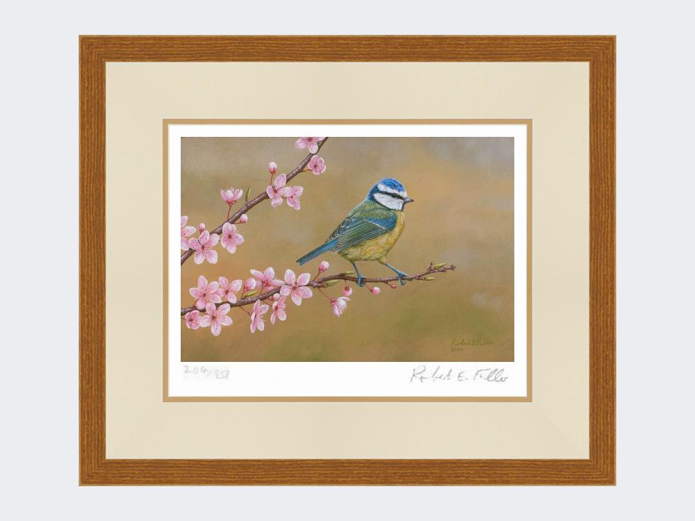 Blue-Tit-on-Cherry-Blossom-Print-Rustic-Country