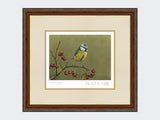 Blue-Tit-on-Lookout-Print-Harvest-Twist