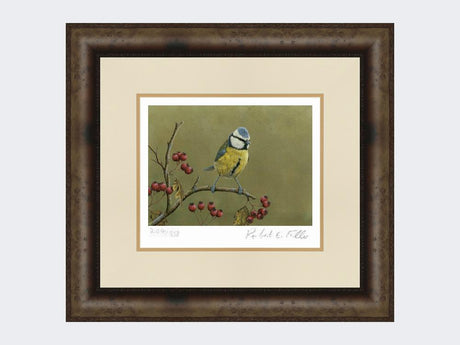 Blue-Tit-on-Lookout-Print-Medium-Dark-Grey-Burr