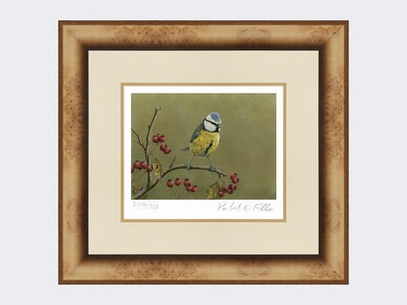 Blue-Tit-on-Lookout-Print-Medium-Light-Burr