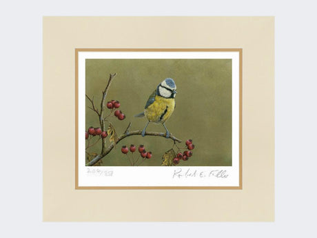 Blue-Tit-on-Lookout-Print-Mounted-Print-Only