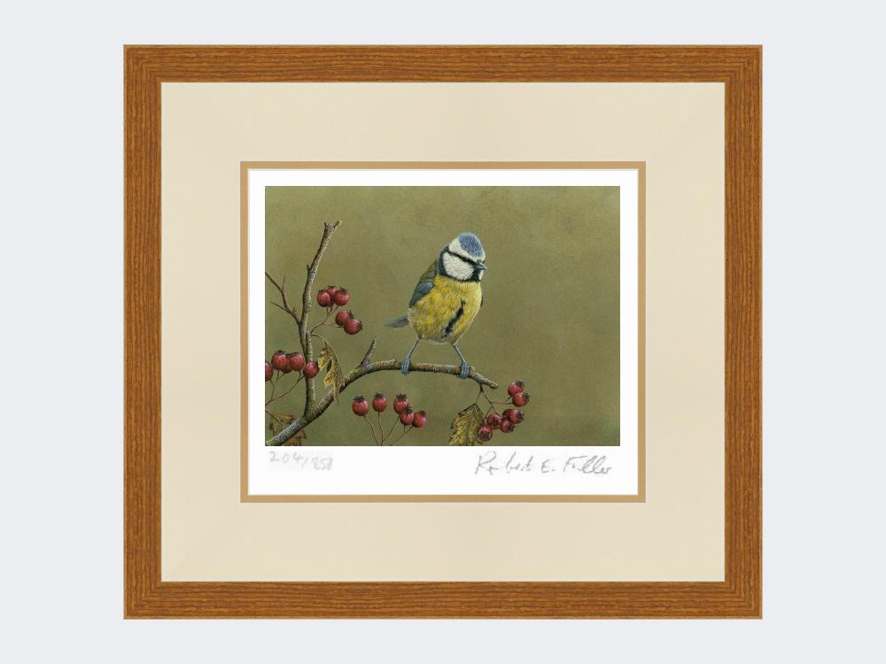 Blue-Tit-on-Lookout-Print-Rustic-Country