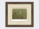 Blue-Tit-on-Lookout-Print-Small-Dark-Grey-Burr