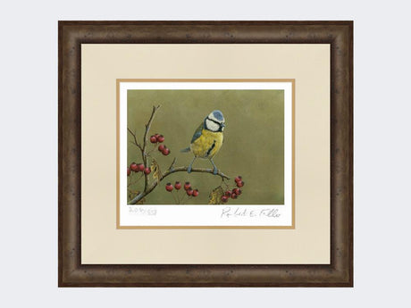 Blue-Tit-on-Lookout-Print-Small-Dark-Grey-Burr