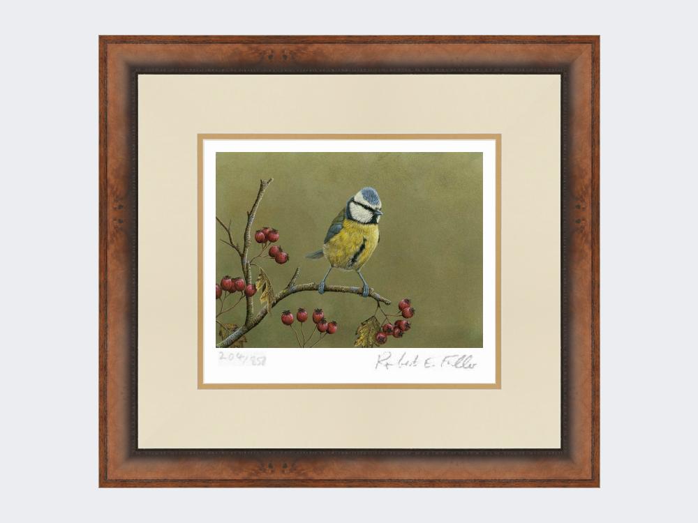 Blue-Tit-on-Lookout-Print-Small-Walnut-Burr