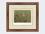 Blue-Tit-on-Lookout-Print-Small-Walnut-Burr