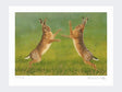 Boxing-Hares-Print-Loose-Print-Only