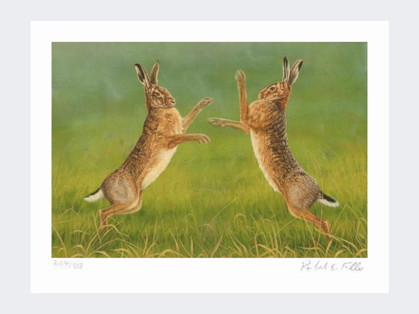 Boxing Hares | Limited Edition Art Print