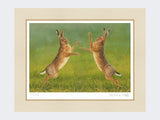 Boxing-Hares-Print-Mounted-Print-Only