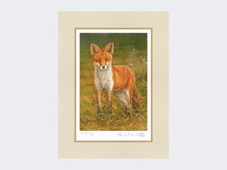 Briar-Fox-Print-Mounted-Print-Only