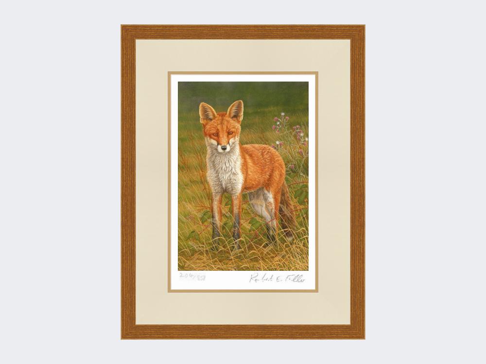 Briar-Fox-Print-Rustic-Country