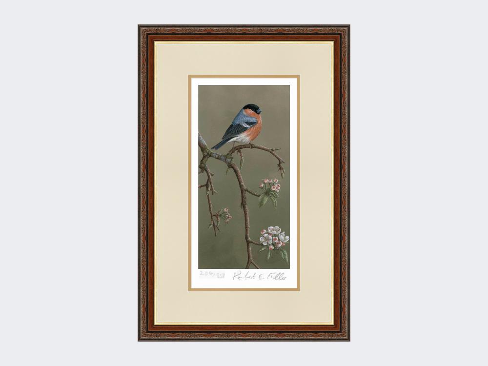 Bullfinch-on-Blossom-Print-Harvest-Twist