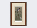 Bullfinch-on-Blossom-Print-Harvest-Twist