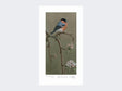 Bullfinch-on-Blossom-Print-Loose-Print-Only