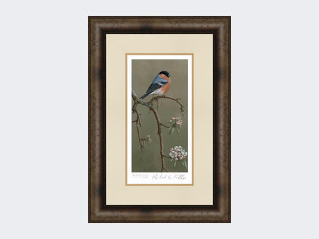 Bullfinch-on-Blossom-Print-Medium-Dark-Grey-Burr