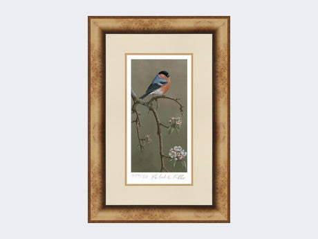 Bullfinch-on-Blossom-Print-Medium-Light-Burr