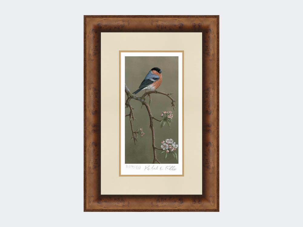 Bullfinch-on-Blossom-Print-Medium-Walnut-Burr