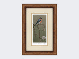 Bullfinch-on-Blossom-Print-Medium-Walnut-Burr