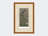 Bullfinch-on-Blossom-Print-Rustic-Country