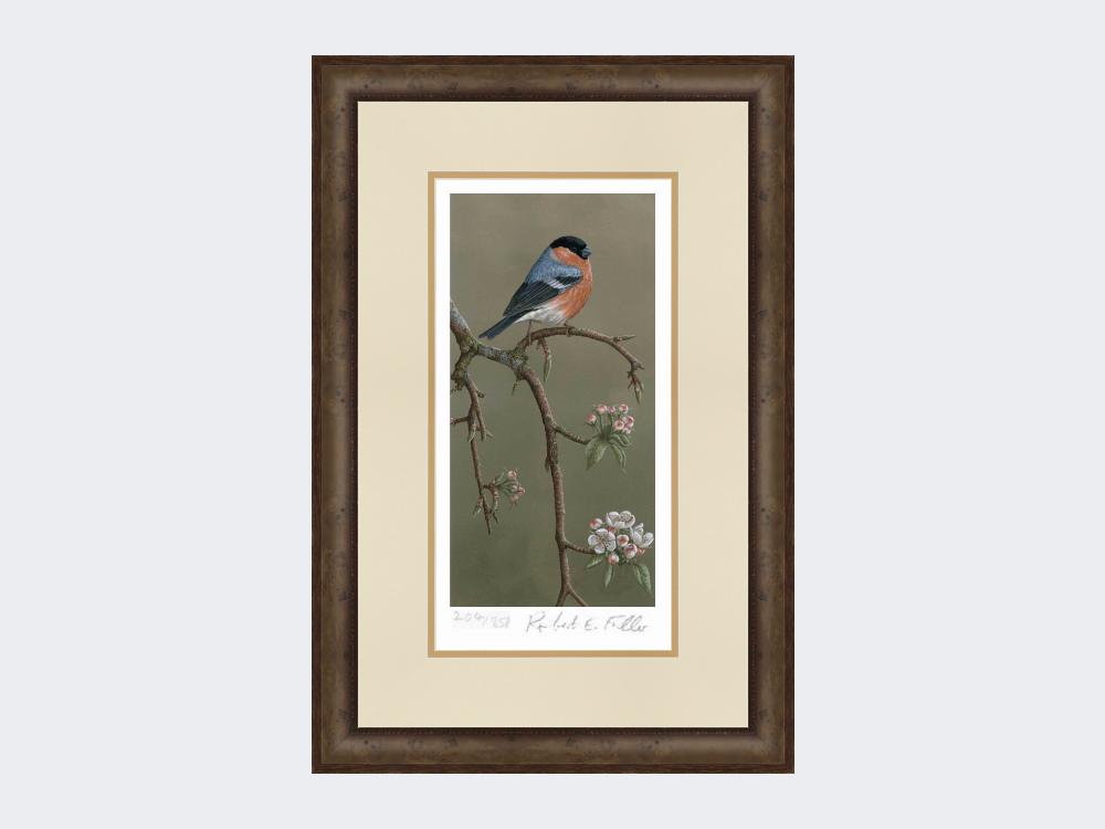 Bullfinch-on-Blossom-Print-Small-Dark-Grey-Burr