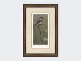 Bullfinch-on-Blossom-Print-Small-Dark-Grey-Burr