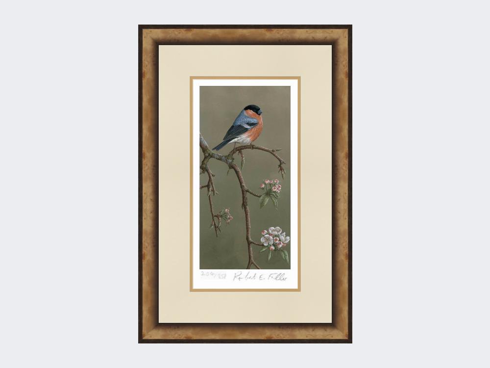 Bullfinch-on-Blossom-Print-Small-Light-Burr