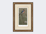 Bullfinch-on-Blossom-Print-Small-Light-Burr