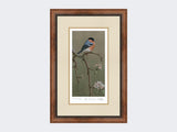 Bullfinch-on-Blossom-Print-Small-Walnut-Burr