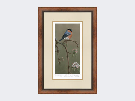 Bullfinch-on-Blossom-Print-Small-Walnut-Burr