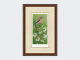 Chaffinch-on-Blackthorn-Print-Harvest-Twist