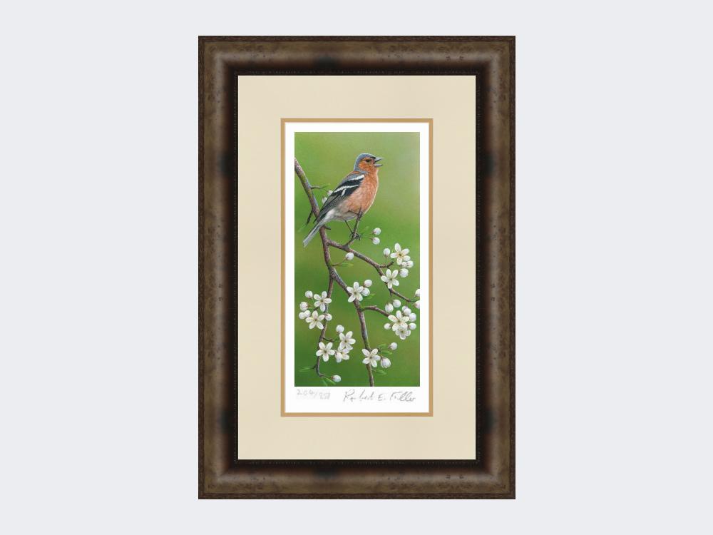 Chaffinch-on-Blackthorn-Print-Medium-Dark-Grey-Burr