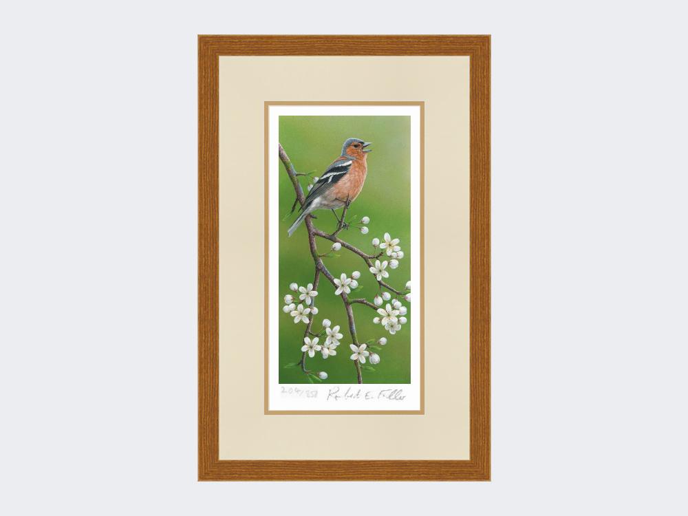 Chaffinch-on-Blackthorn-Print-Rustic-Country