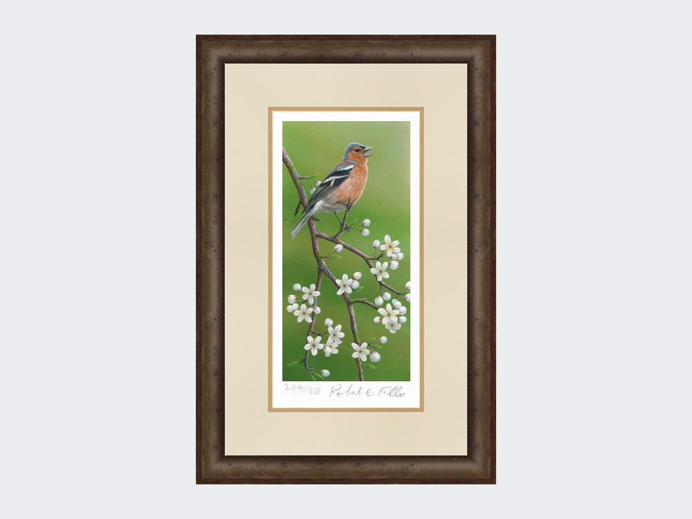 Chaffinch-on-Blackthorn-Print-Small-Dark-Grey-Burr