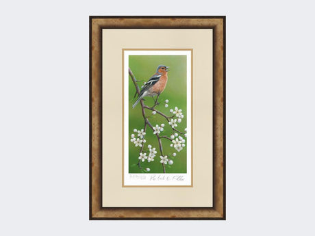 Chaffinch-on-Blackthorn-Print-Small-Light-Burr