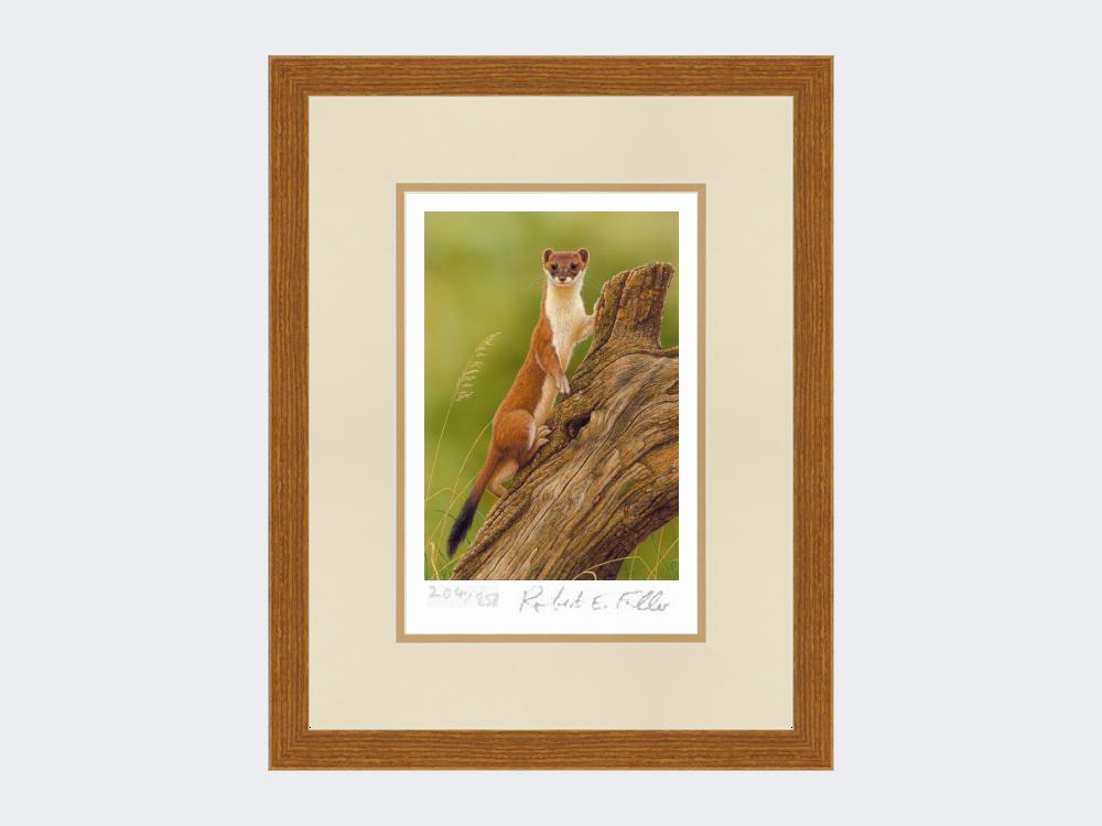 Climbing-Stoat-Print-Rustic-Country