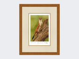 Climbing-Stoat-Print-Rustic-Country